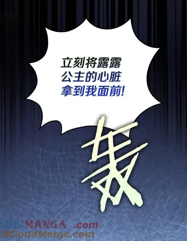 《占卜的公女》61.还有希望图101