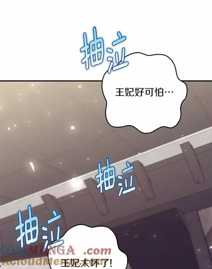 《占卜的公女》61.还有希望图105