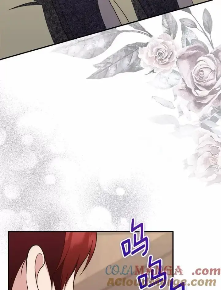 《占卜的公女》61.还有希望图113