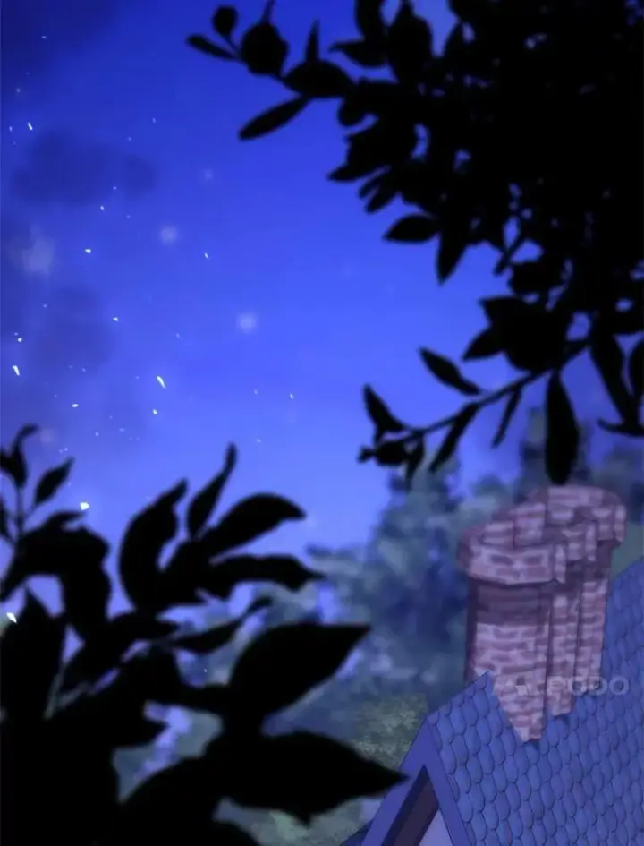 《占卜的公女》61.还有希望图123
