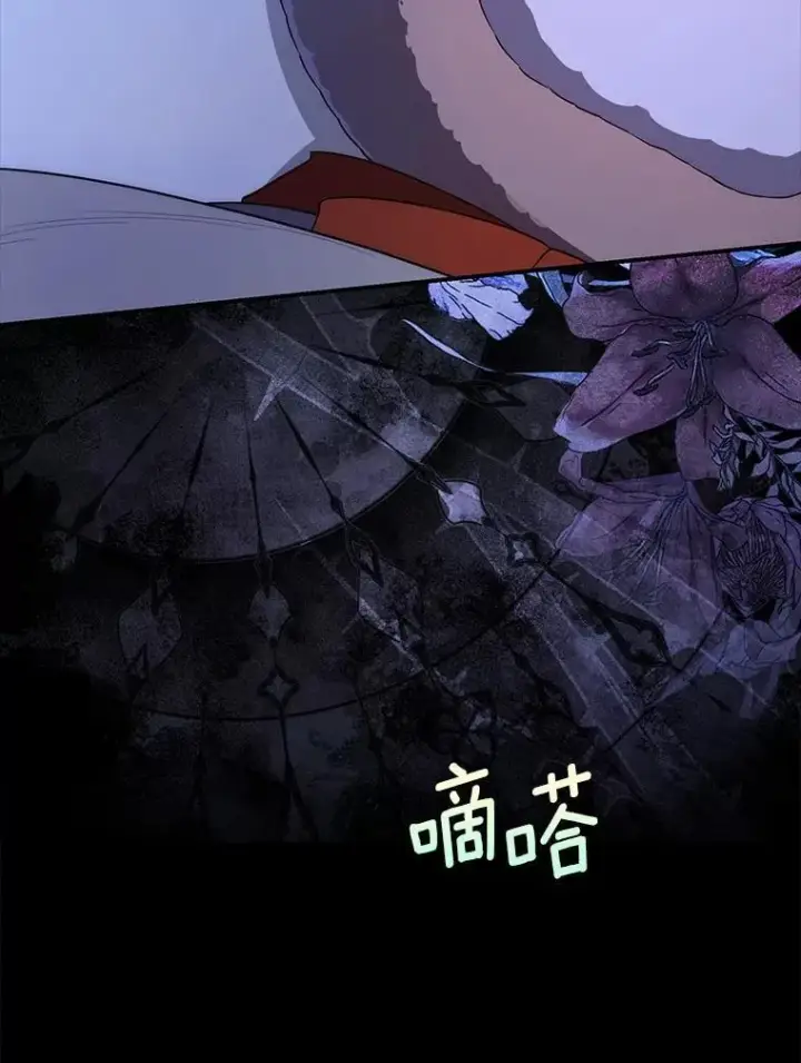 《占卜的公女》61.还有希望图132