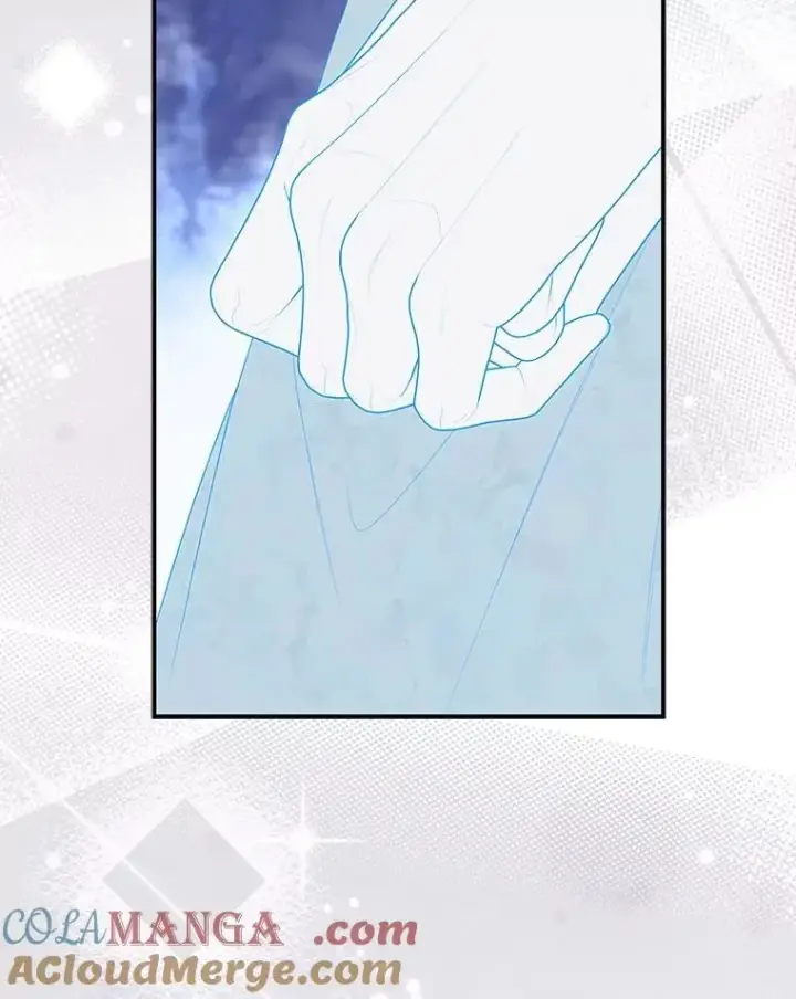 《占卜的公女》63.当然讨厌图29