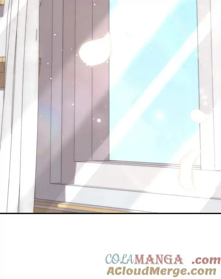 《占卜的公女》64.我认识你母亲图169