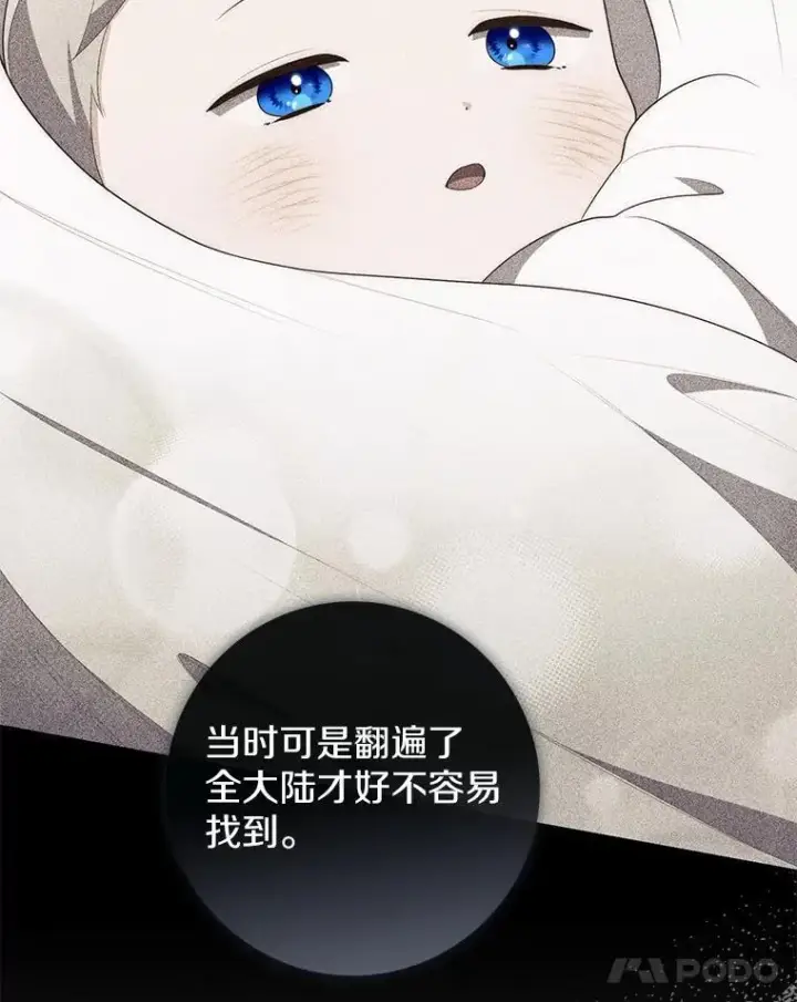 《占卜的公女》66.太像了图141