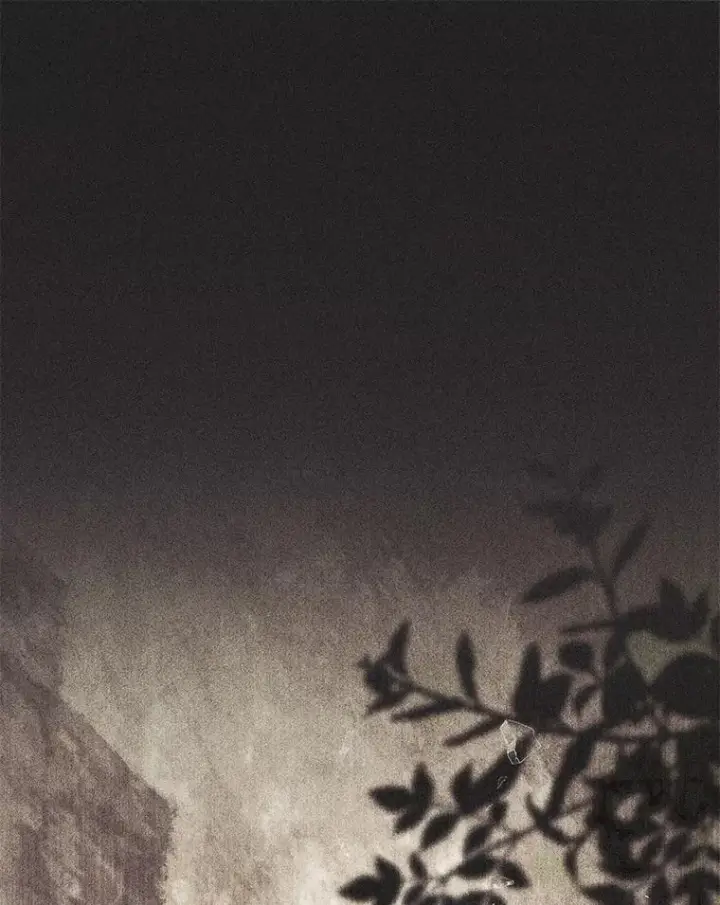 《占卜的公女》66.太像了图15