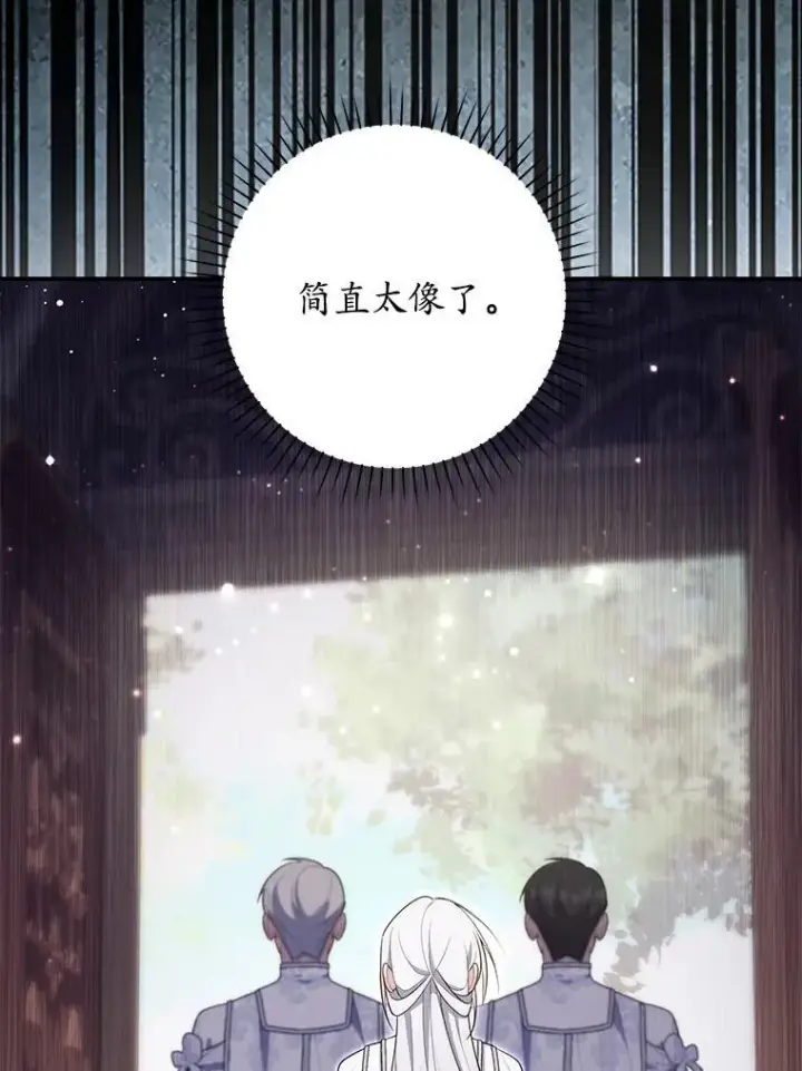 《占卜的公女》66.太像了图162