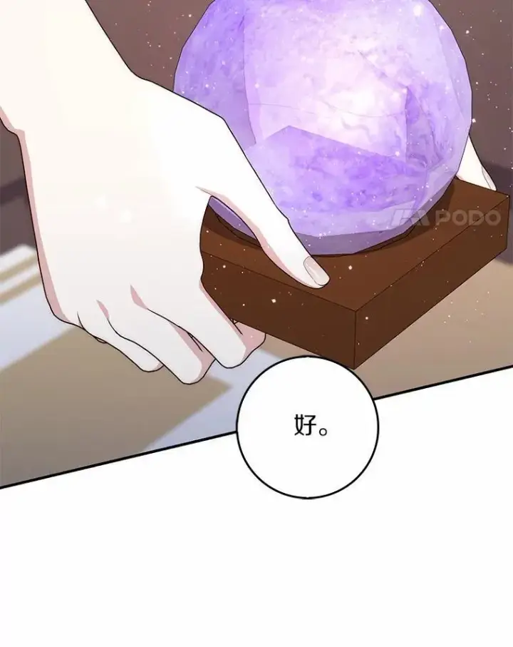 《占卜的公女》66.太像了图27