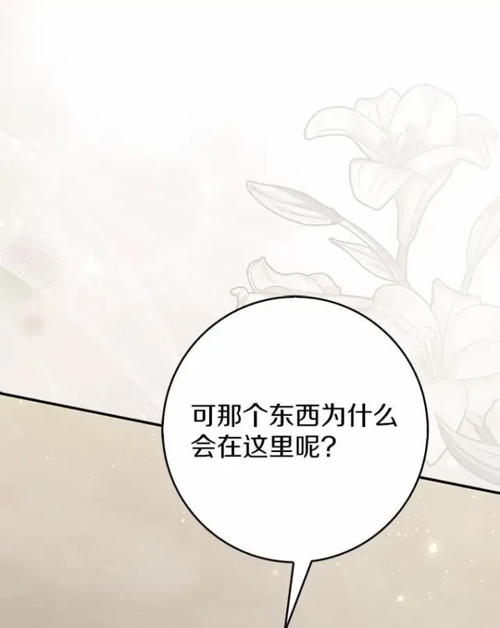 《占卜的公女》66.太像了图28