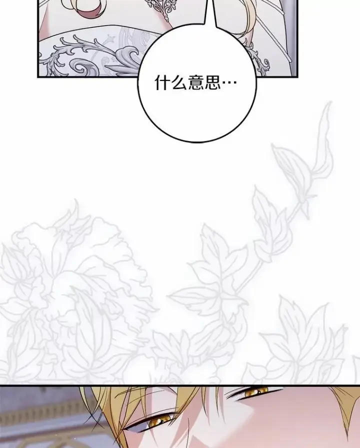 《占卜的公女》67.生日快乐图113