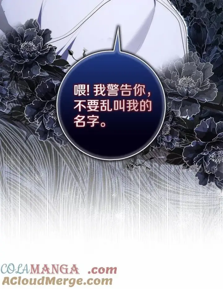 《占卜的公女》74.治愈魔法图101