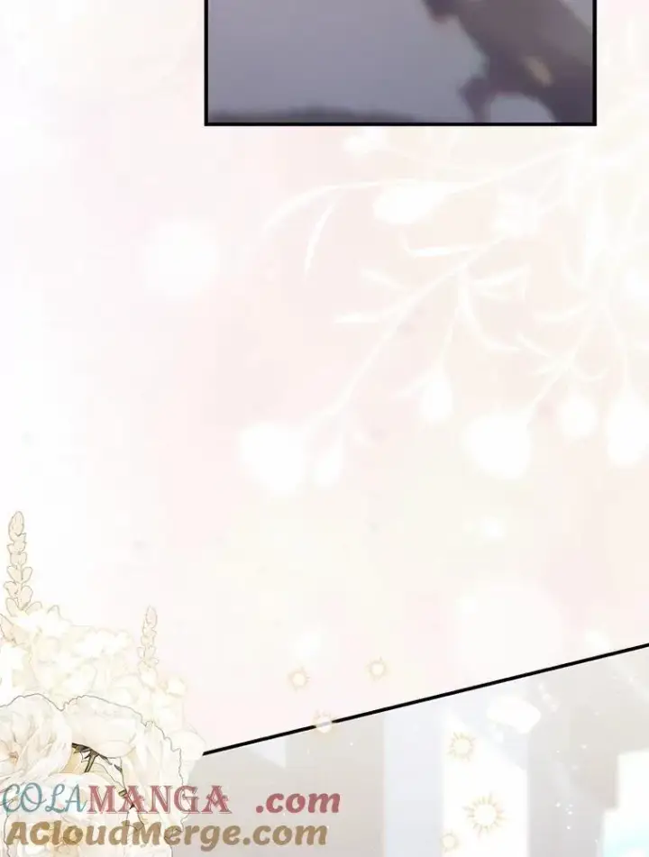 《占卜的公女》74.治愈魔法图77