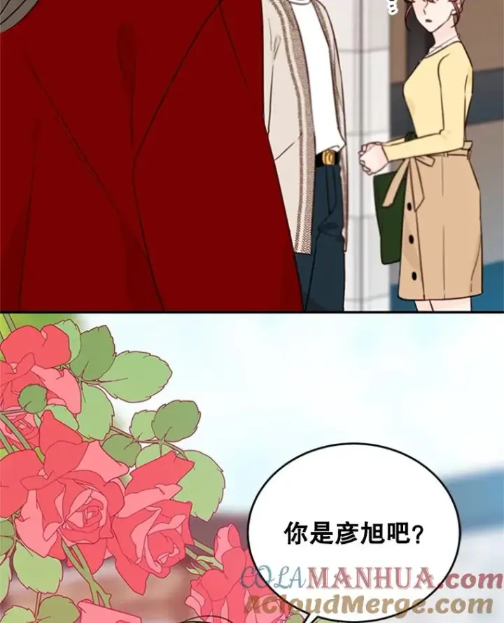 《丈夫候选人》39.校园里的传闻图105