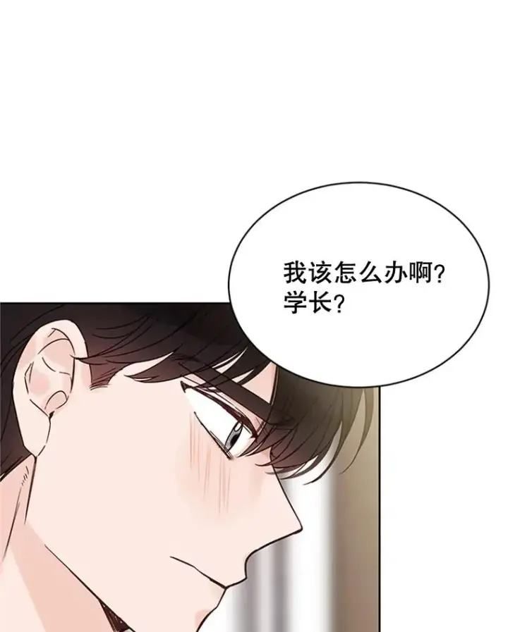 《丈夫候选人》52.有人失恋了图51