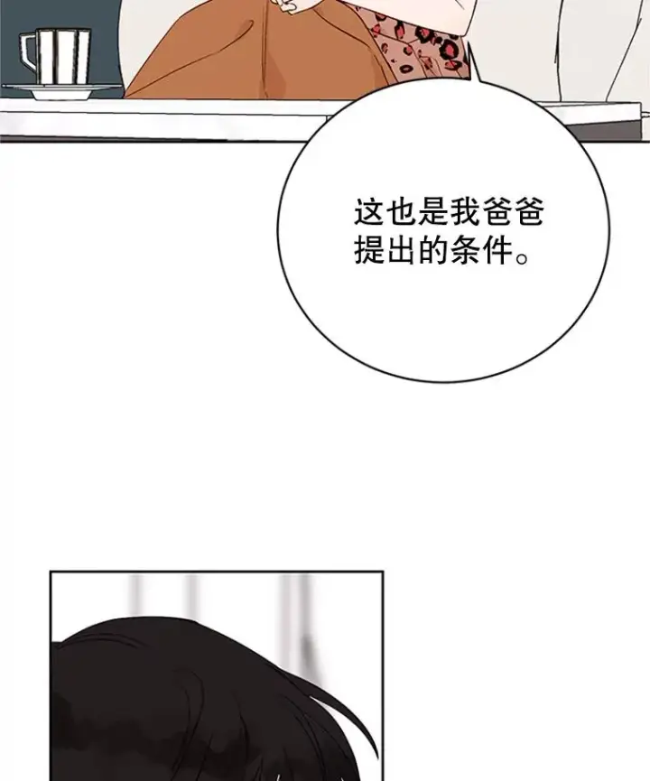 《丈夫候选人》59.理由图50