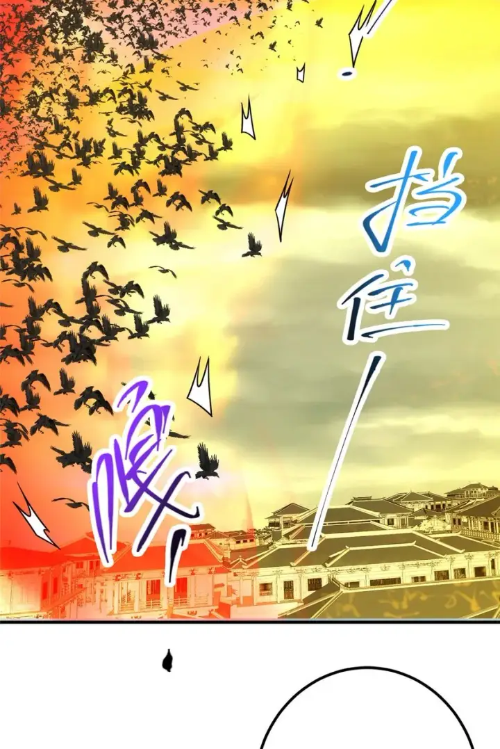 《掌门低调点》100 群鸟灾祸图37