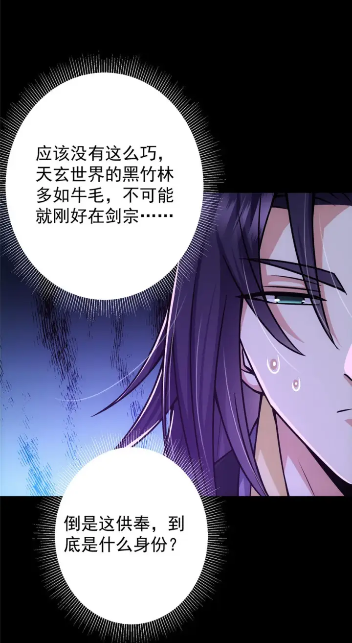 《掌门低调点》108 往日秘辛图35