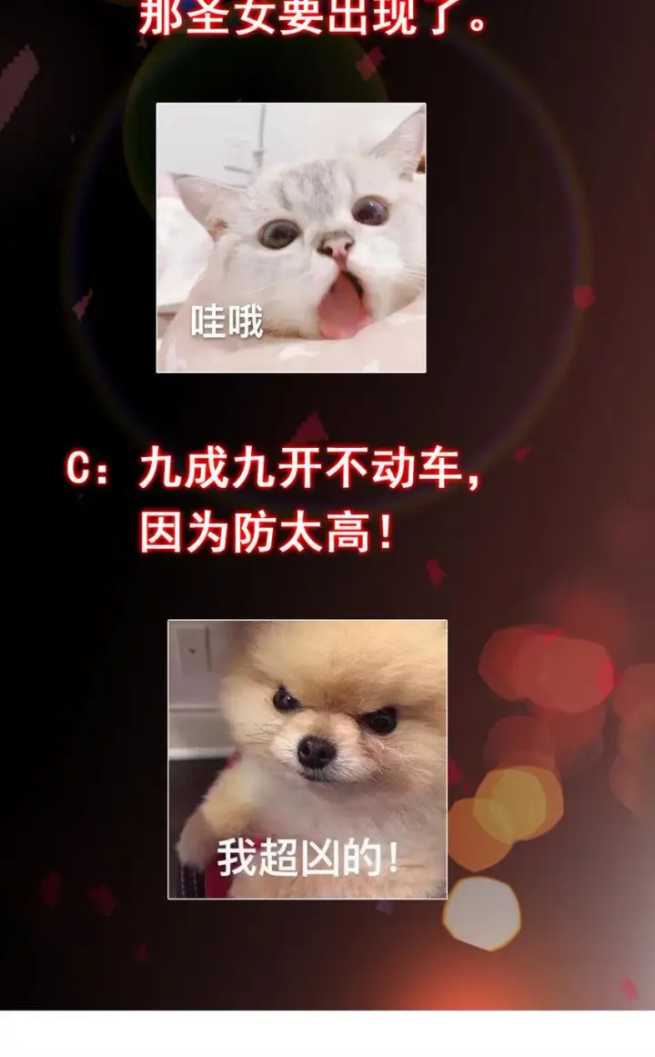 《掌门低调点》183 我的心在树上图43