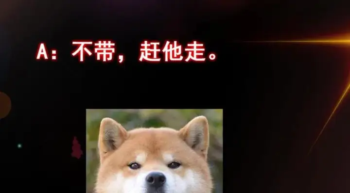 《掌门低调点》197 我看见你的未来图131