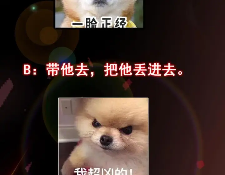 《掌门低调点》197 我看见你的未来图132