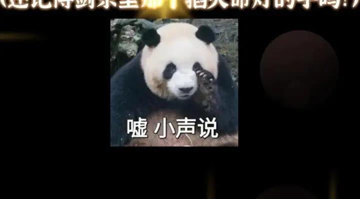 《掌门低调点》211 我只吃饭不洗碗图132