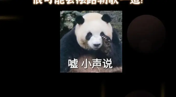 《掌门低调点》215 资本家看了得流泪！图146