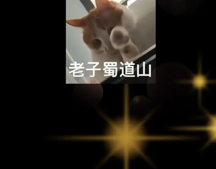 《掌门低调点》216 一眼便已看破！图124