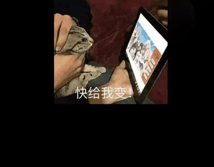 《掌门低调点》234 与路朝歌一起战死！图172