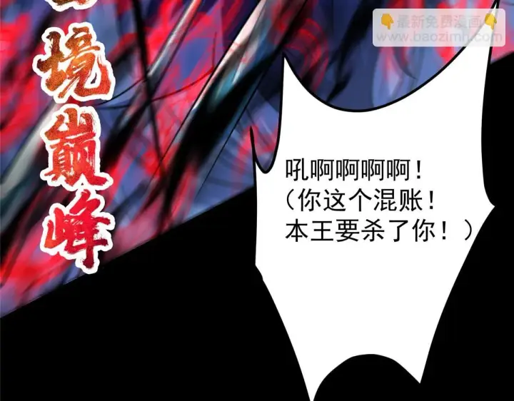 《掌门低调点》239 舍弃一切防御图100
