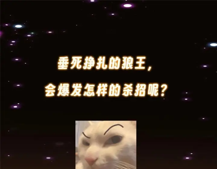 《掌门低调点》240 这一剑，雪停图168
