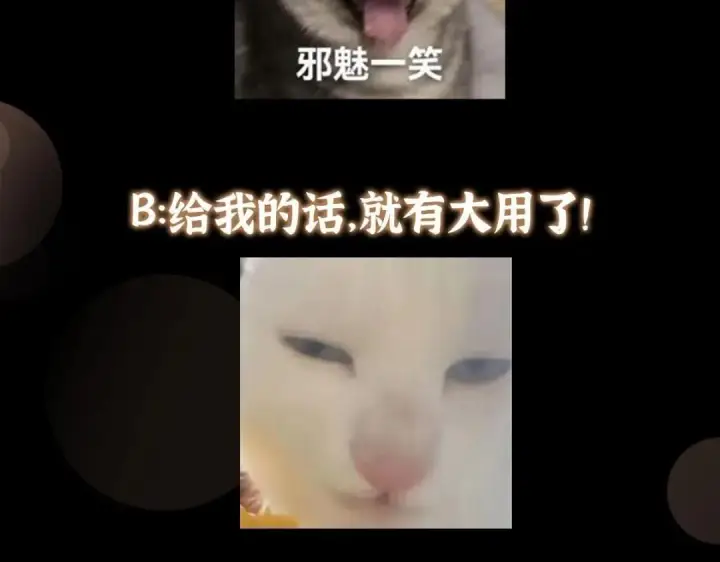 《掌门低调点》242 万一是美人塔主呢？图149