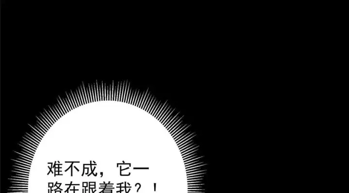 《掌门低调点》242 万一是美人塔主呢？图26
