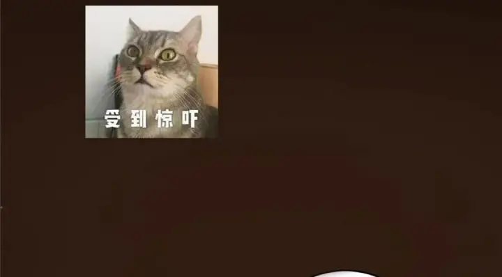 《掌门低调点》253 就该夫唱妇随！图145