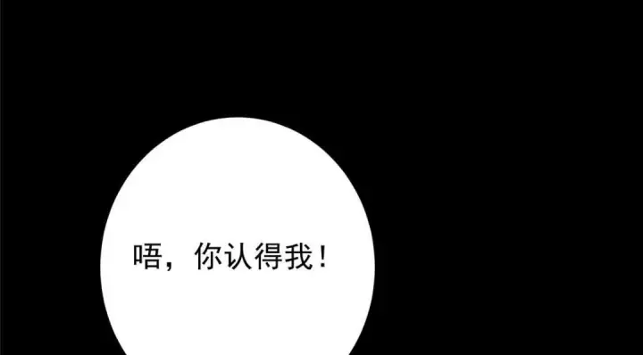 《掌门低调点》254 宗主之宴犹如鸿门图151