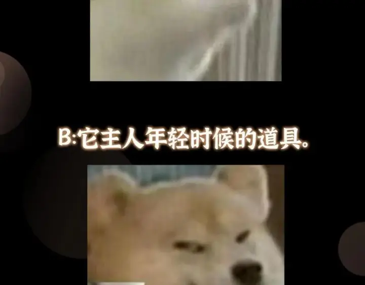 《掌门低调点》255 痴呆又机灵！图137