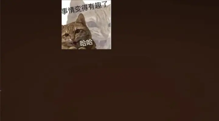 《掌门低调点》256 他留给他的图152