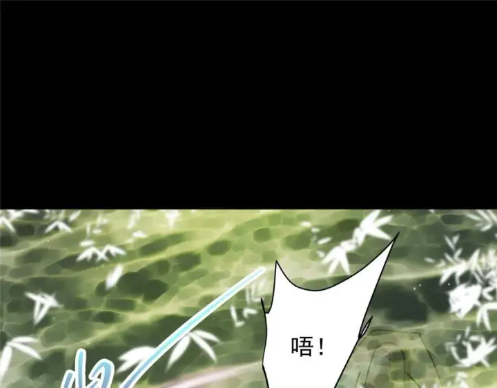 《掌门低调点》256 他留给他的图9