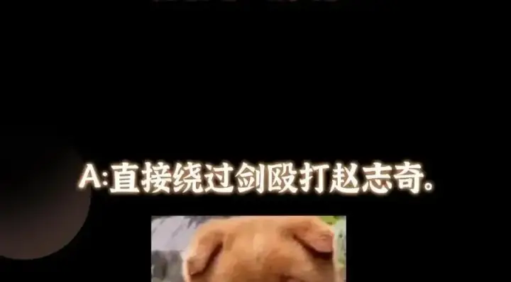 《掌门低调点》263 满山大雪皆为吾剑图172