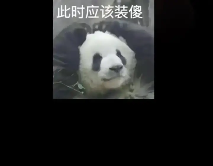 《掌门低调点》263 满山大雪皆为吾剑图175