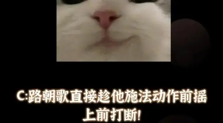 《掌门低调点》266 为我们的关系正名！图135