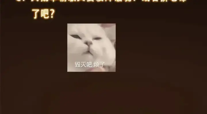 《掌门低调点》267 这如同山岳的强者图151