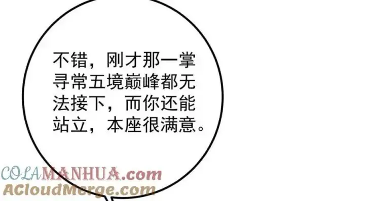 《掌门低调点》267 这如同山岳的强者图49