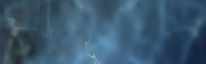《掌门低调点》275 绝美与绝美的初见图135