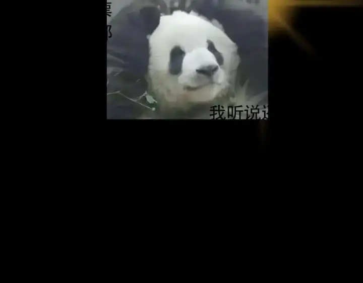《掌门低调点》285 这一场，你赢了图135