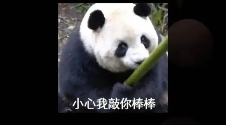 《掌门低调点》289 到底谁是猎人？猎物？图158