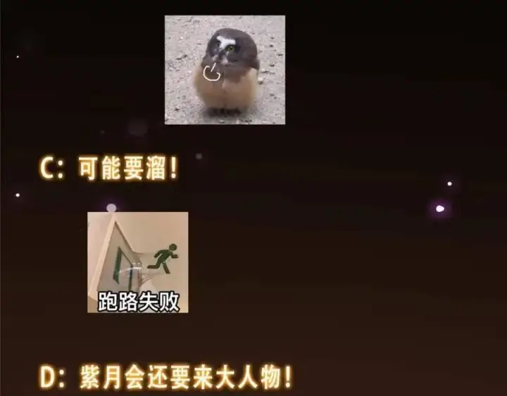 《掌门低调点》290 一见朝歌误终生图163