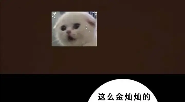 《掌门低调点》290 一见朝歌误终生图164
