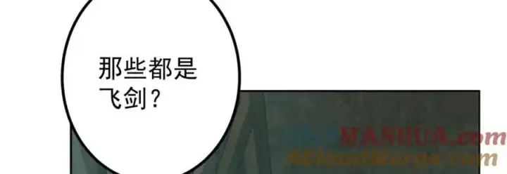 《掌门低调点》291 六境大佬真正的剑域图117