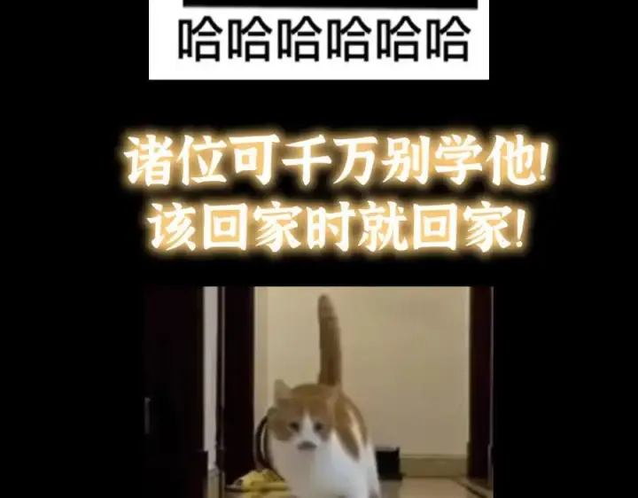 《掌门低调点》313 迟早在顶峰相见图163