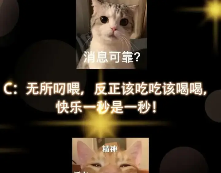 《掌门低调点》321 算了，我摆烂了图139