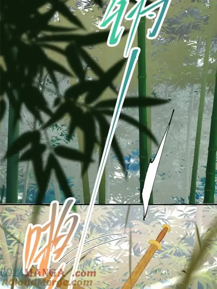 《掌门低调点》324 青州尽皆起剑！图64